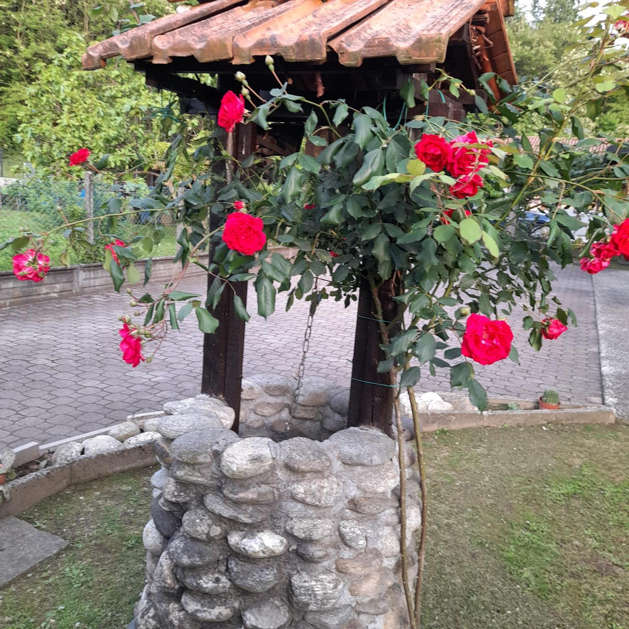 Il Vecchio Kiwi - House With Private Garden Villa Oleggio Castello Exterior photo